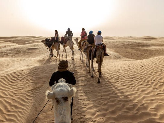 Camel caravan in the Sahara desert